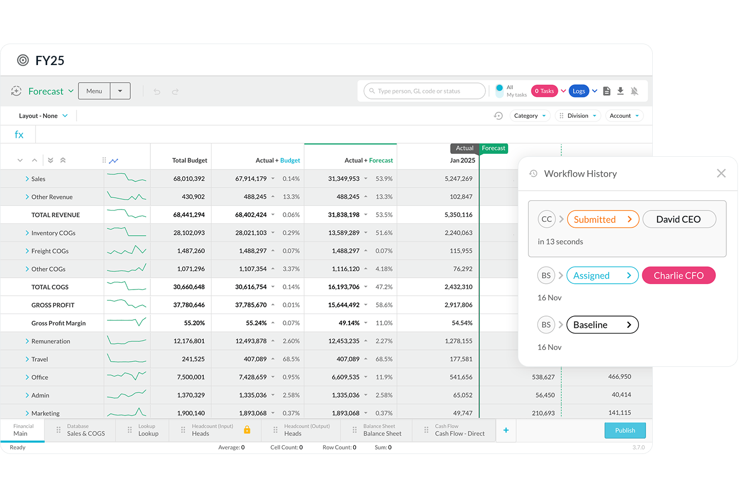 Budgets & Forecasts